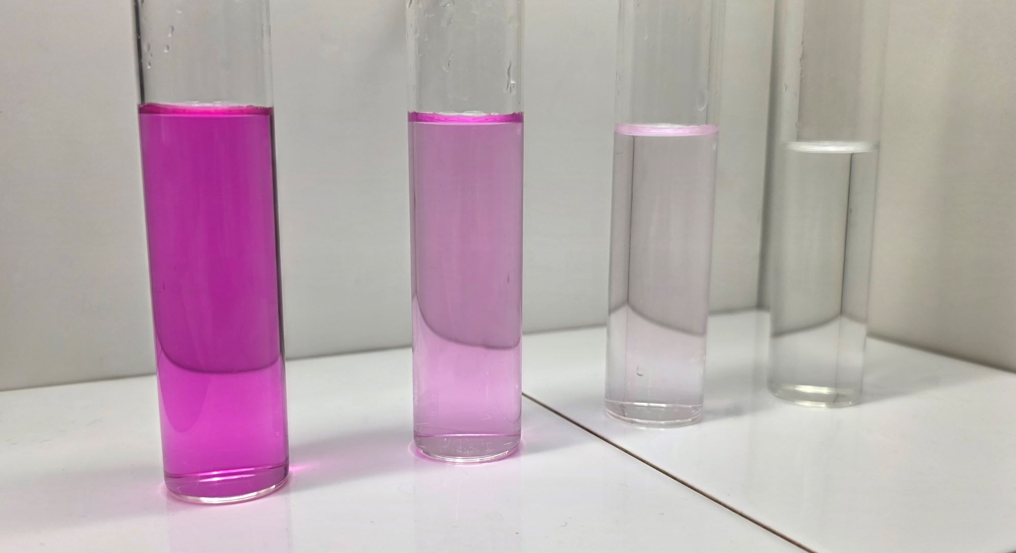 Pink appearance 4.jpg